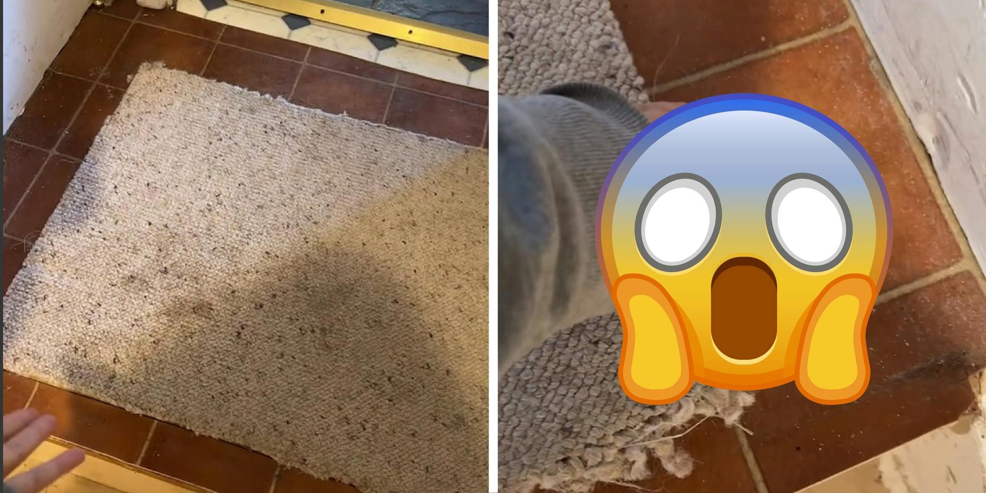 ‘What’s hidden in this room?’: Family pulls out all the carpet on their basement stairs. Then they get to the landing