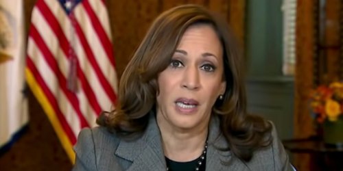 Conservative news 'exclusive' about Kamala Harris buying cookware gets widely mocked