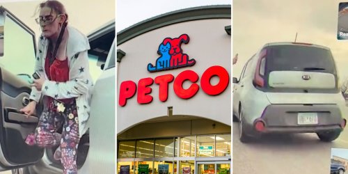 Tesla Camera Captures Woman Stealing From Petco Start To Finish