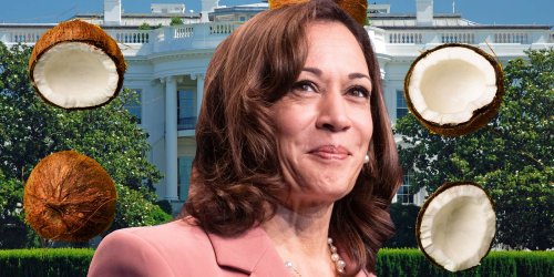 Democrats Try To Meme Themselves Into Voting Kamala Harris For President