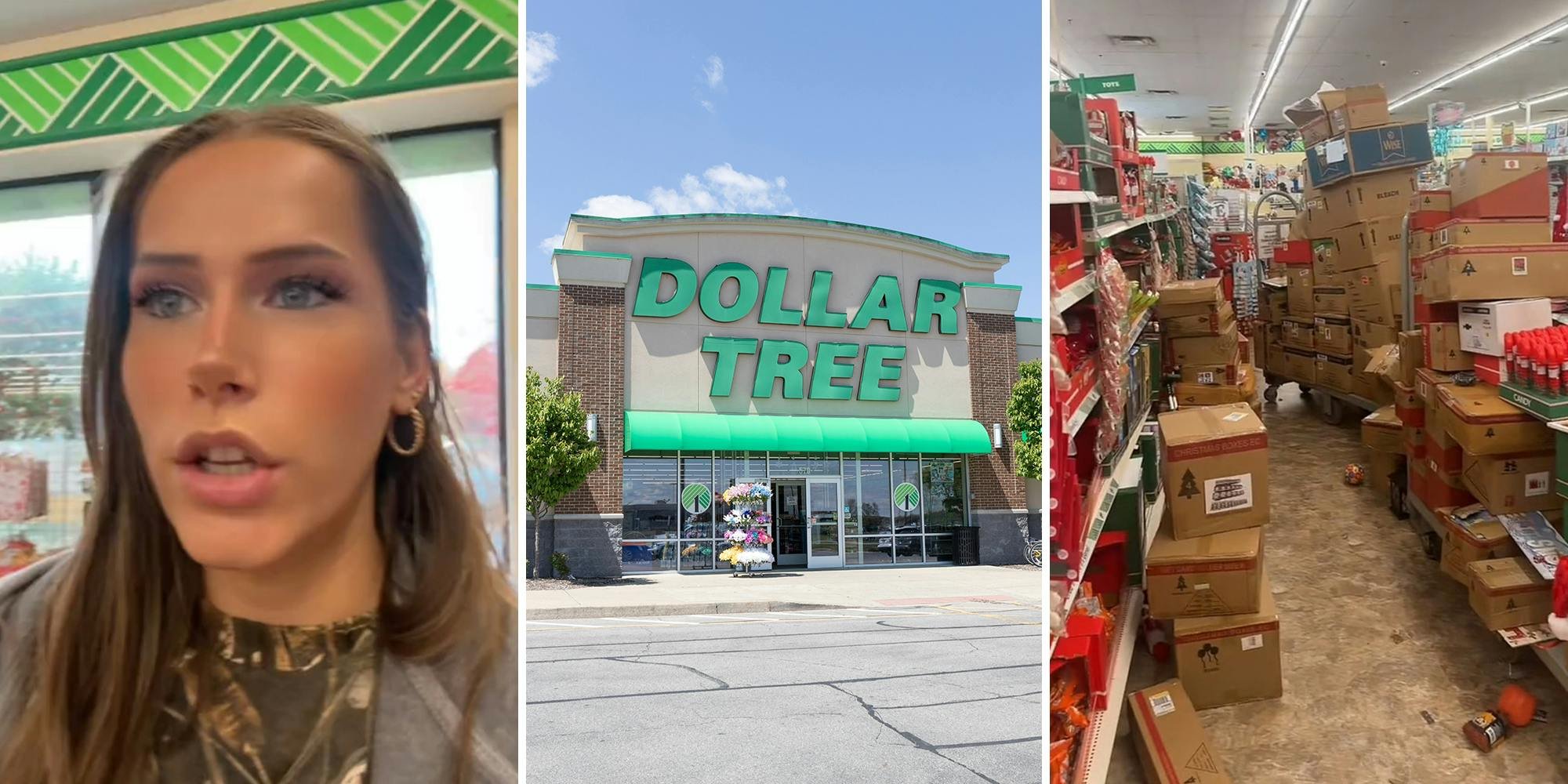 'Never ever have I seen one look like this': Shopper praised for showing what a 'real Dollar Tree' looks like