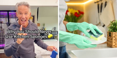 ‘Get rid of the sponges’: Expert says traditional dish sponges are ‘toxic’ and transfer bacteria to your dishes. Then he shows what to use instead