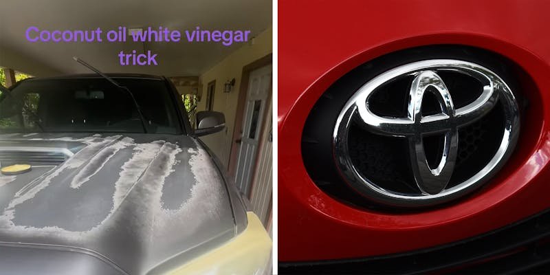 ‘Toyota has to do better with their paint’: Expert uses coconut oil and vinegar to scrub faded paint on his truck. Then he sees the difference
