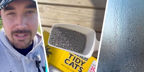 Does This Secret Cat Litter Trick Actually Work For Your Car?