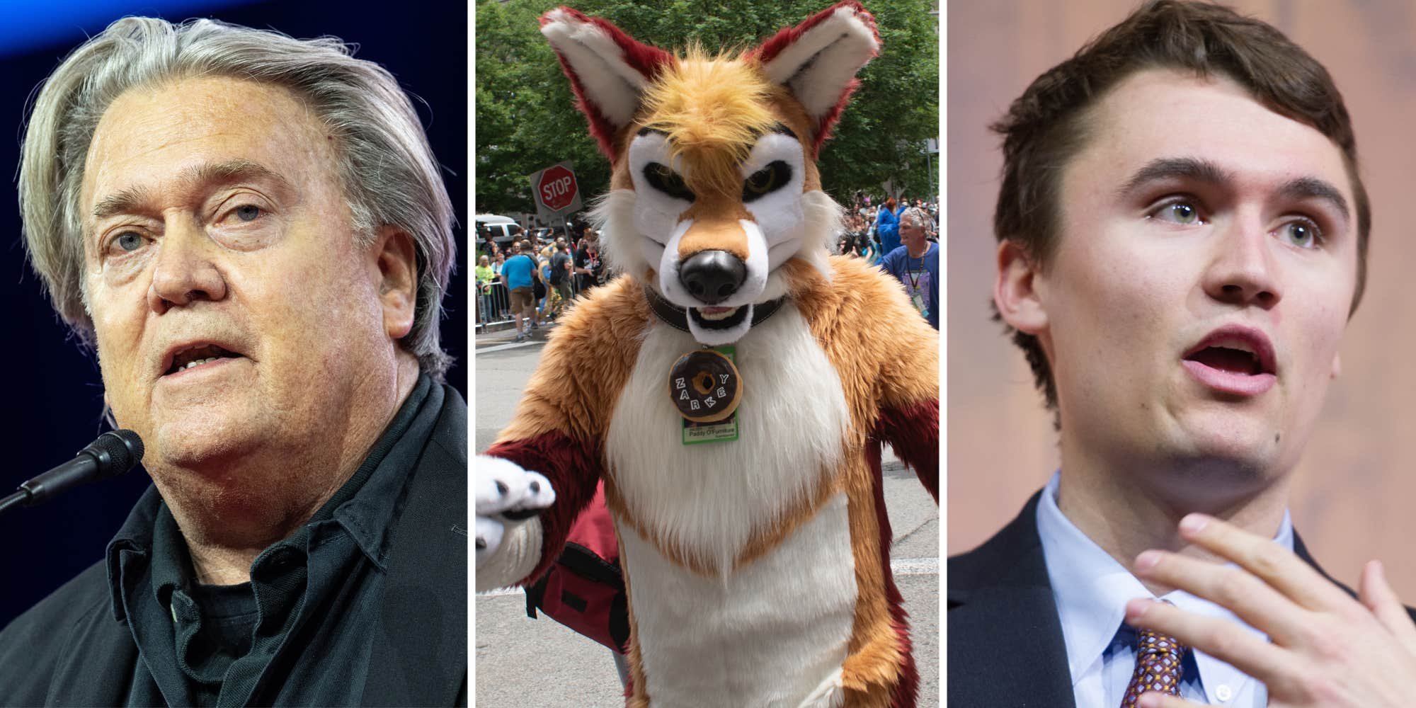 Furry hackers target far-right news outlet behind Charlie Kirk, Steve Bannon