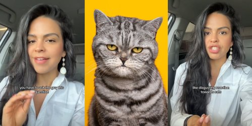 Dating expert says you should always ask how they feel about cats. Their answer could be a major red flag