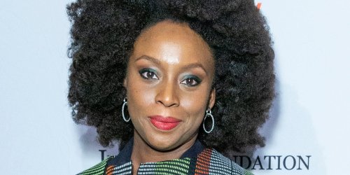 'Designed to incite': Author responds to Chimamanda Ngozi ...