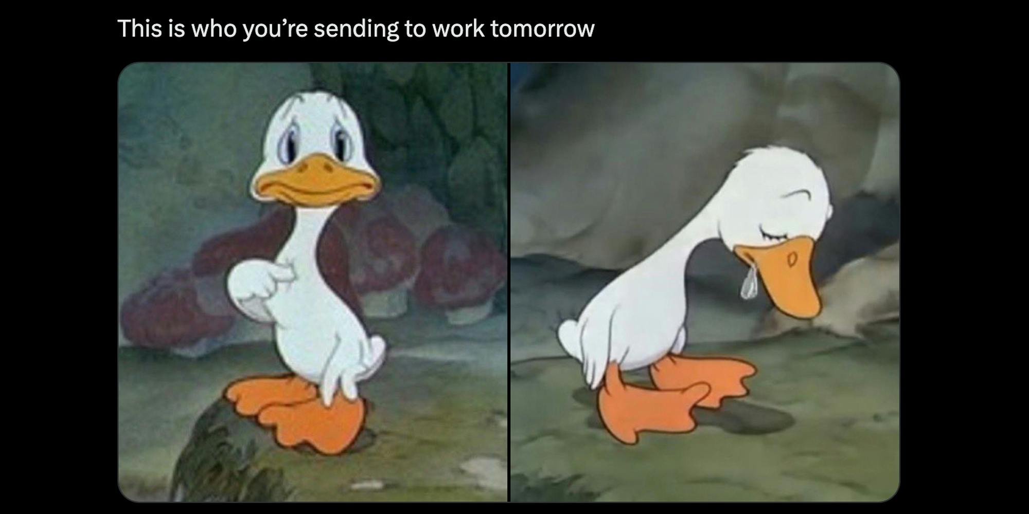 Young, dumb, and full of glum: The ‘Sad Duck Pointing At Himself’ meme, explained