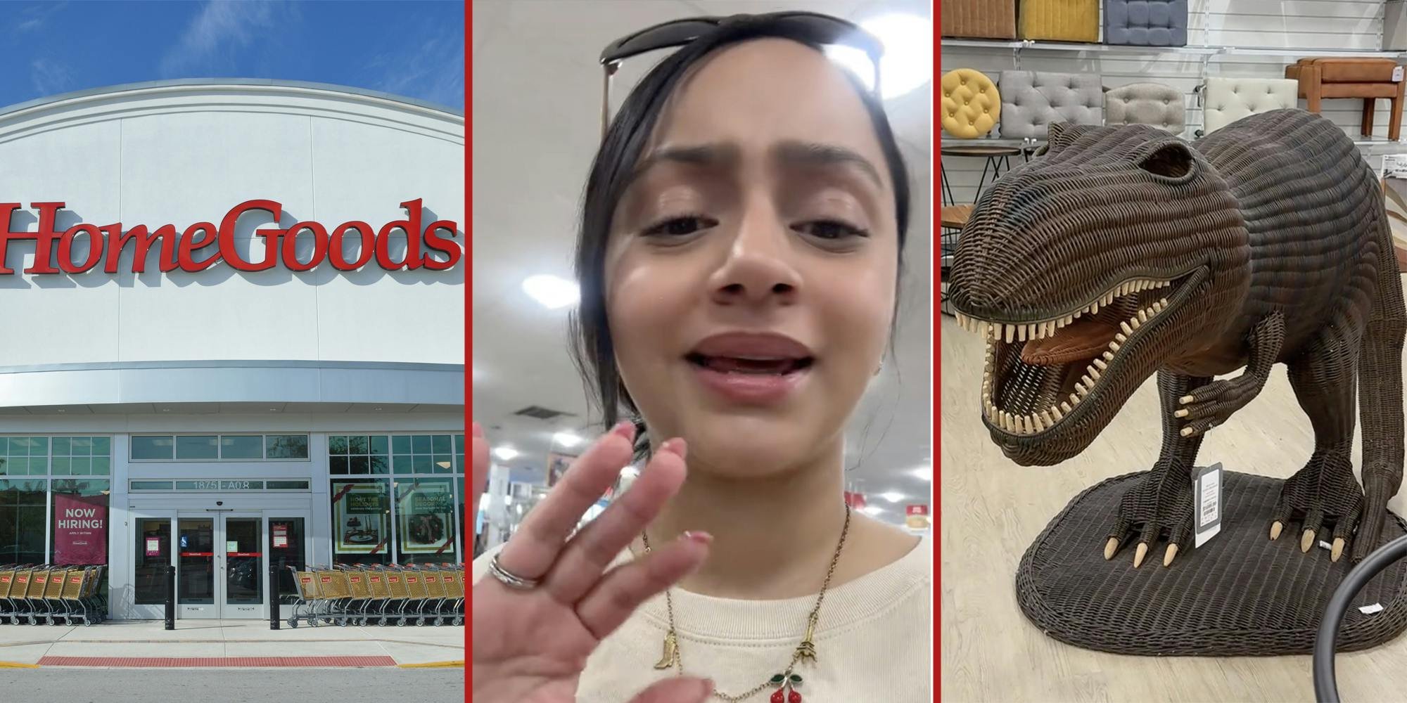‘Who is buying this?’: HomeGoods shopper finds wicker dinosaur sculpture. Viewers are shocked by the price