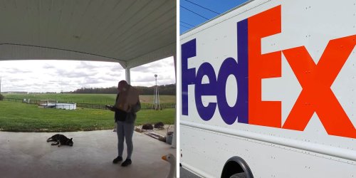 FedEx Driver Finds a Customer's Dog Not Moving in Their Yard. What Happened?