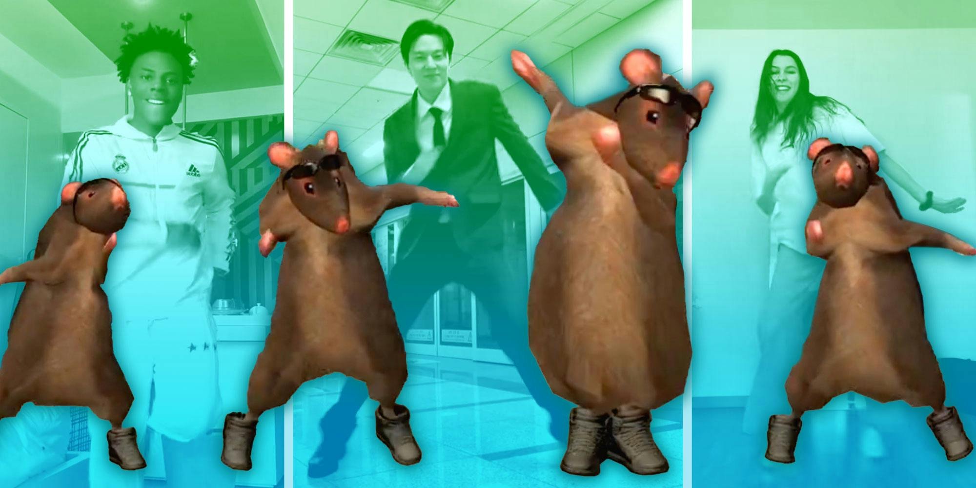 Why everyone on TikTok is dancing with a dang rat