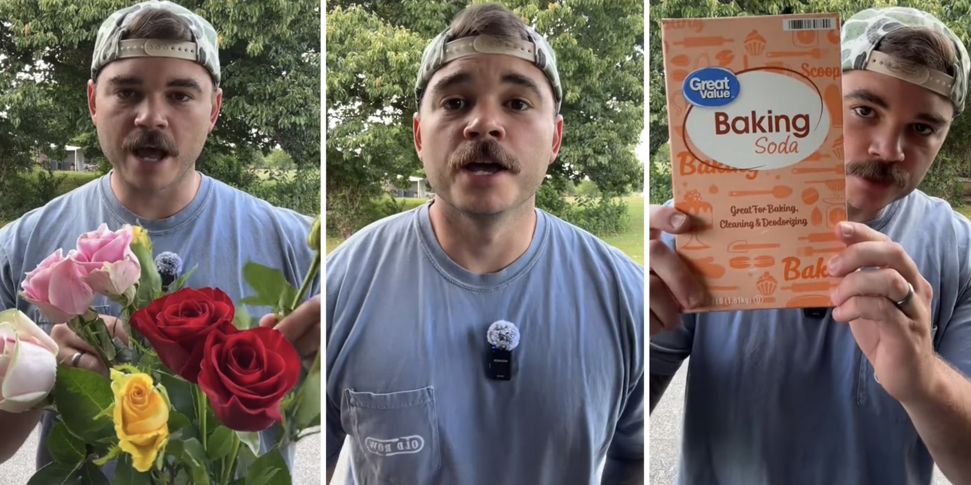 ‘Is there anything baking soda CAN’T do?!?’: Man shares how to keep flowers alive with Great Value baking soda hack