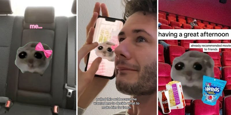 ‘This is me if you even care’: The ‘Sad Hamster Meme’ is TikTok’s adorable new way of expressing their inner feelings