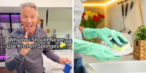 Expert: Dish Sponges Are ‘Toxic,’ Transfer Bacteria—May Be Dirtier Than Toilets