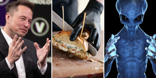Elon Had Sandwich Made For Him, Talked About Aliens Before Layoffs