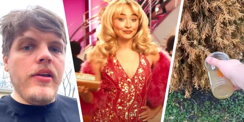 “All you need is a very sugary espresso-filled drink”: Man notices 2 dead plants in his yard. Then he uses Sabrina Carpenter’s coffee from Dunkin’ to revive them