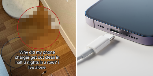 ‘It’s definitely a house hippo’: Woman wakes up to iPhone charger cut in half—3 nights in a row