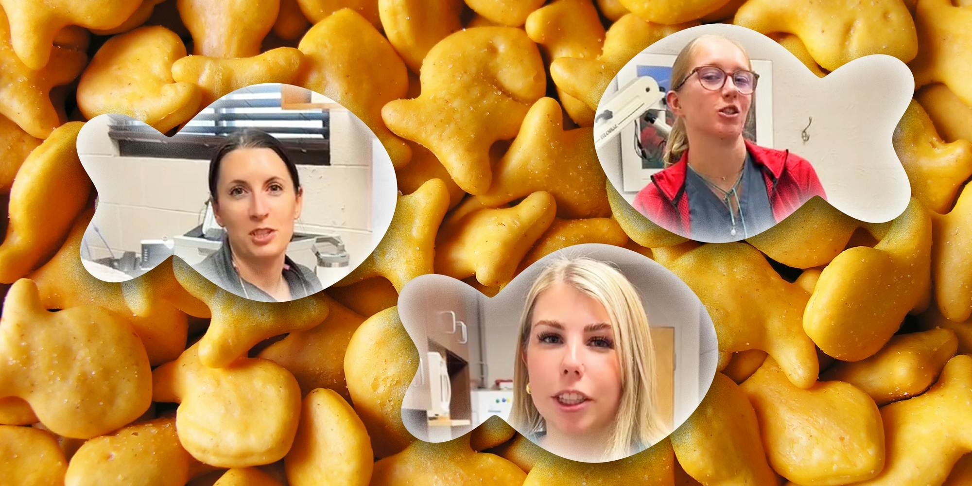 ‘I was not expecting Goldfish’: Expert exposes the truth about Goldfish. Here’s why the snack’s so harmful