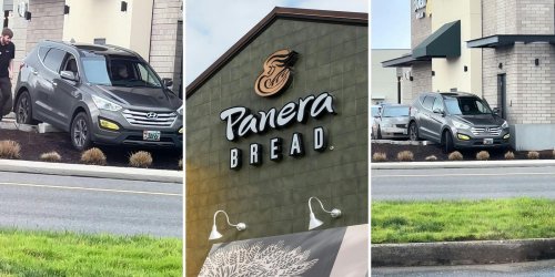 'But where's the car supposed to go?': Viewers defend Panera customer who can’t figure out drive-thru, causes havoc