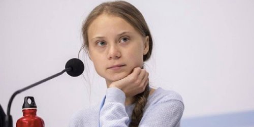 Greta Thunberg On Cartoon Depicting Her Being Sexually Assaulted This Shows That We re Winning 