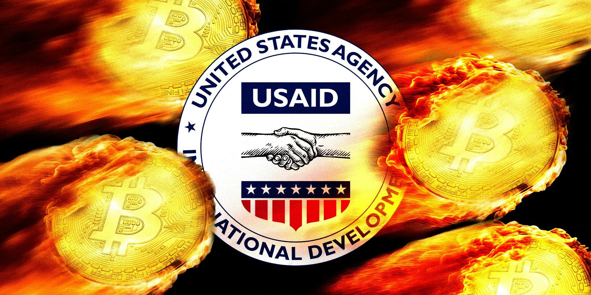 WikiLeaks sparks Bitcoin bro panic with claim U.S. funded anti-cryptocurrency ‘propaganda’