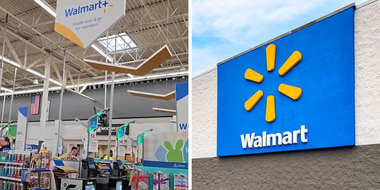 Woman Goes To Walmart Self-Checkout, Realizes She Needs Subscription To Use It