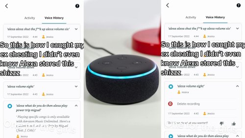 'I didn't even know Alexa stored this shizzz': Woman's Amazon 'Alexa' exposes her cheating boyfriend via its dialogue transcripts