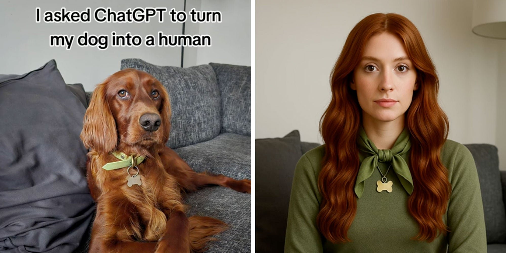 People are now asking ChatGPT to humanize their pets, and the results are chaotic