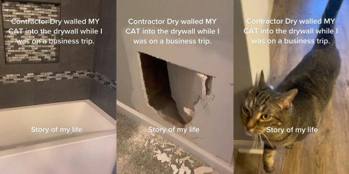 'I could hear the cat crying from somewhere in here': Woman says cat was stuck in wall for 3 days after contractor put new drywall up