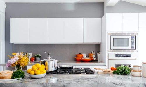 Simple ways to keep your new kitchen pest free