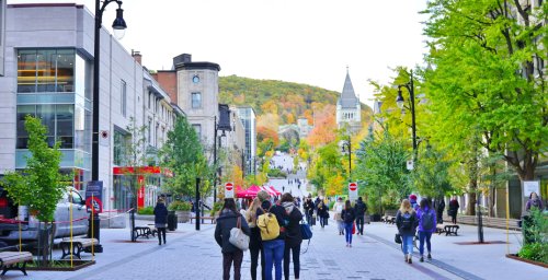 This Is How Much Money You Need To Make on Average To Live Alone In Montreal Flipboard