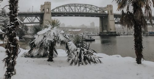 Snowfall warning issued as up to 25 cm expected in Metro Vancouver