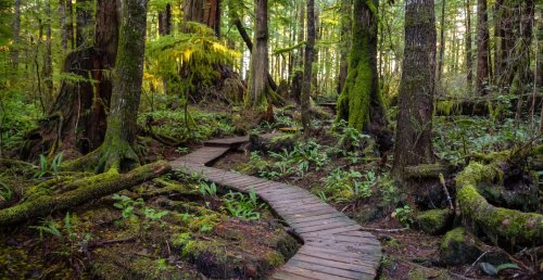 5 of the most picturesque locations on Vancouver Island