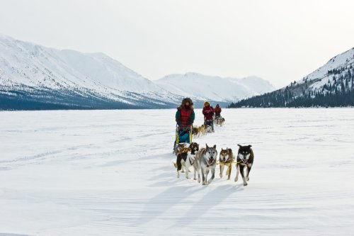 A week in the Yukon: Here’s how to have an unforgettably different trip