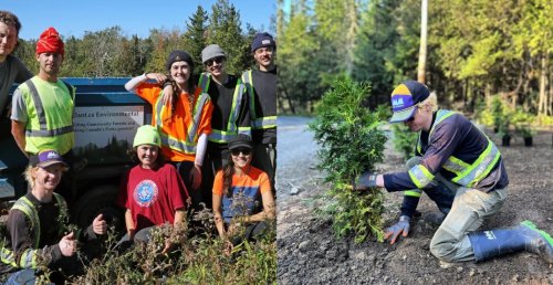 You can earn about $20K in 3.5 months from tree planting jobs in BC
