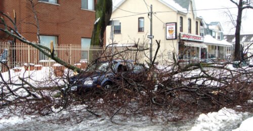 Intense storm expected to slam Toronto and Southern Ontario with extreme winds