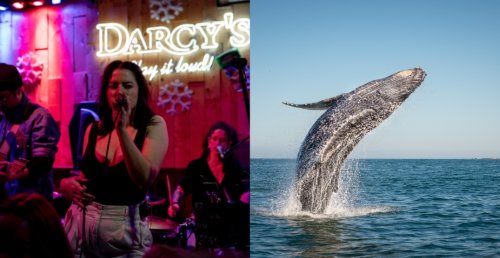 6 awesome things to do in Victoria this week: March 18 to 22