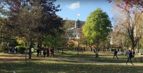 You can now take multiple McGill courses for FREE online
