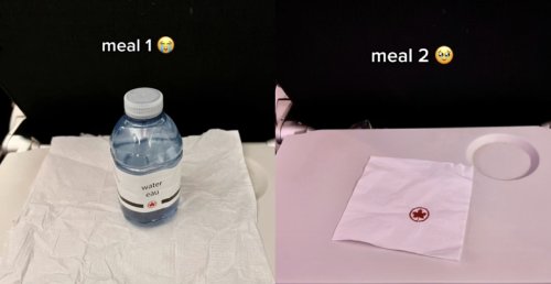 Vegan traveller says Air Canada served her a water bottle, napkin as a “meal”
