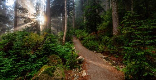 28 easy low-elevation trails to explore in Metro Vancouver