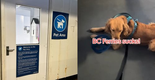 "Seriously, this is ridiculous": Dog owner slams BC Ferries over pet area problems