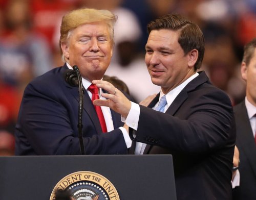 Trump reportedly rips DeSantis as 'fat' and 'phony' and 'whiny'