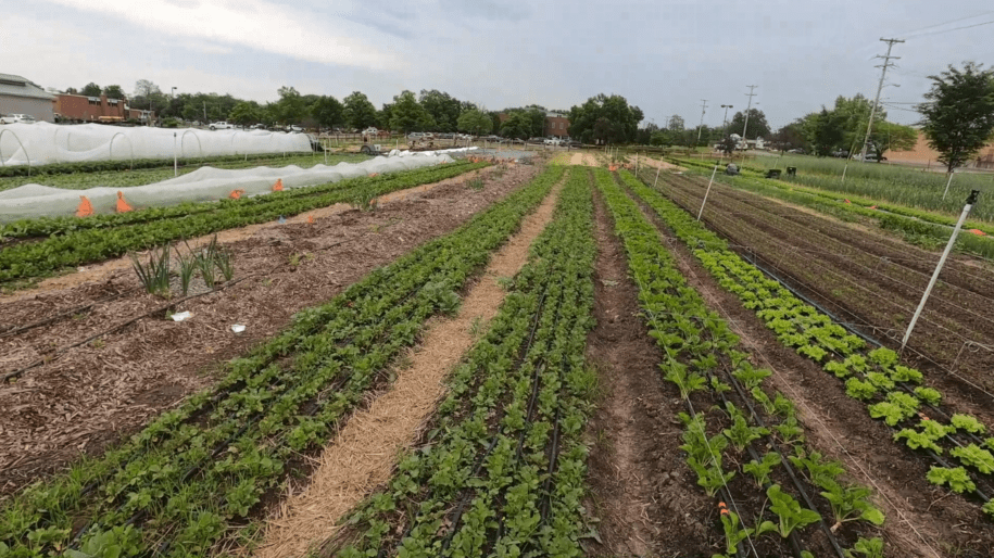 Tokenization of everything, including our food: Anti-Capitalist Meetup