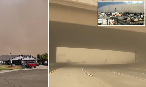Wild videos show monster wind-driven dust storm envelop farm community outside San Diego - reducing driving visibility to zero on roads and crippling the area for hours