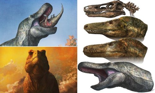 Forget what you saw in Jurassic Park! T.Rex did NOT have permanently exposed teeth – and instead had scaly, lizard-like LIPS, study finds