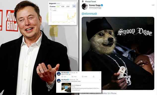 Elon Musk moves markets... again: Dogecoin's value rockets 24% in a morning after billionaire tweets 'instructional video' and calls it Earth's future currency - as Tesla invests $1.5B in bitcoin