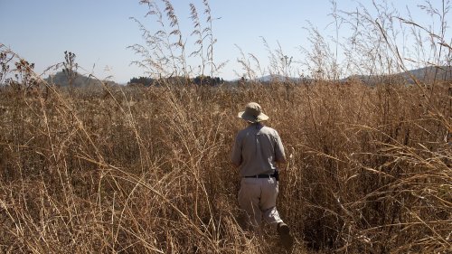 Betrayal of Zimbabwe's white farmers: 'Tiny fraction' of those whose land was taken by Mugabe in the 2000s have received promised compensation, and are struggling to survive
