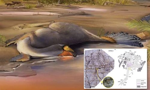 Scientists find 125M year-old dinosaur that has organic molecules