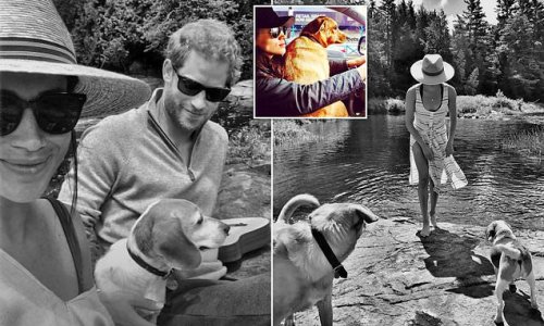 Meghan's beloved dog Bogart - who she left behind in Canada when she moved to the UK to marry Harry - makes an appearance in sensational Netflix teaser