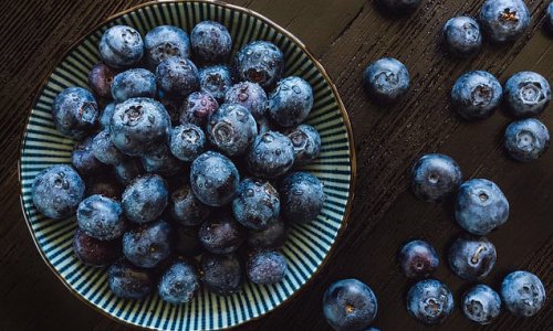 Blueberries really ARE a superfood! Study finds eating the fruit every day can reverse cognitive decline in elderly people, study finds
